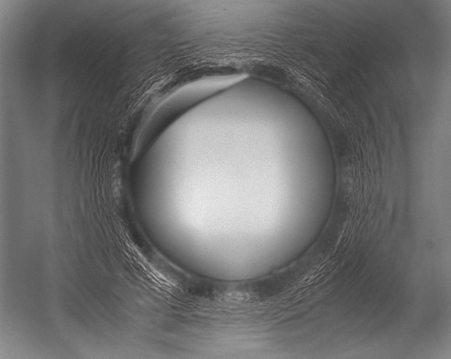 X0000052560593200507221438