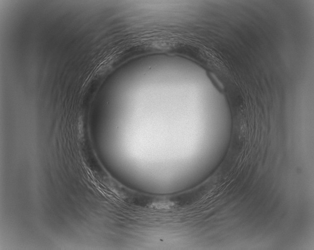 X0000052560595200507221438
