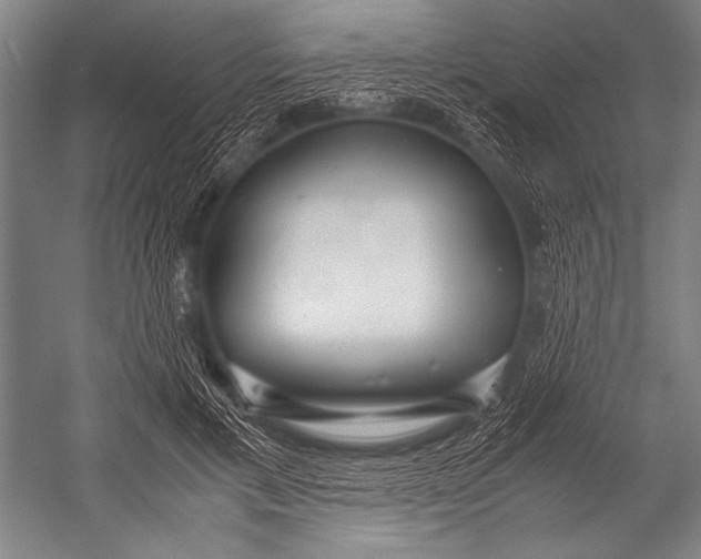X0000052560597200507221438