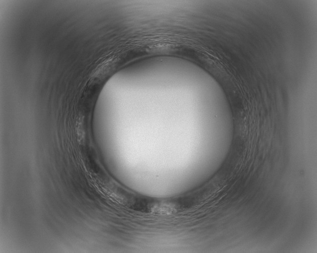 X0000052560599200507221438