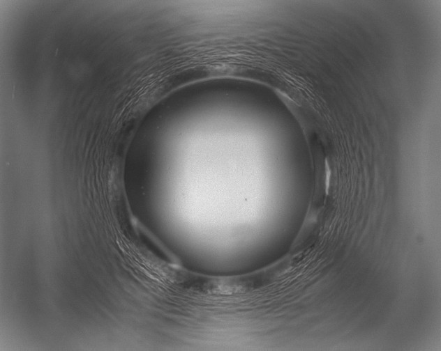 X0000052560601200507221438