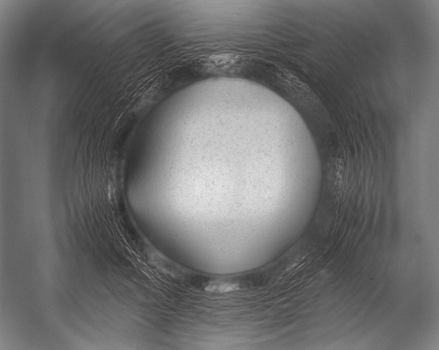 X0000052560602200507221438