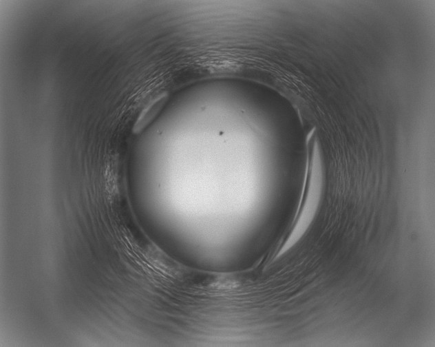 X0000052560604200507221438