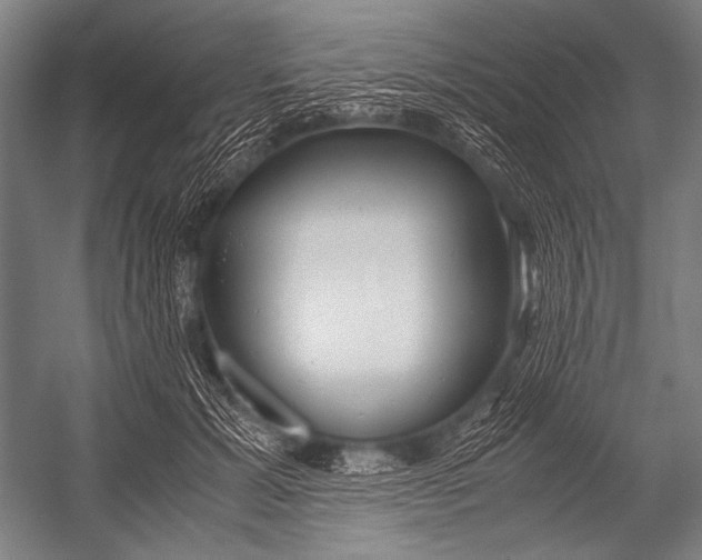 X0000052560605200507221438