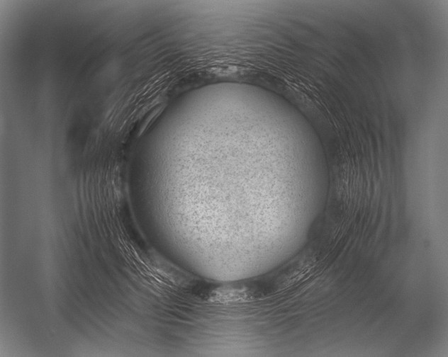 X0000052560606200507221438