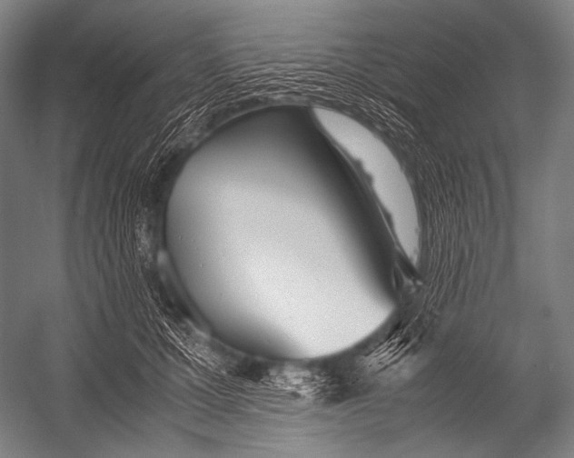 X0000052560607200507221438