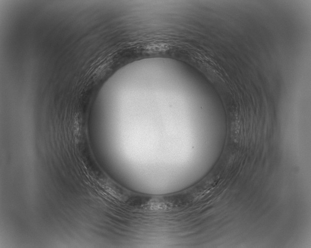X0000052560608200507221437
