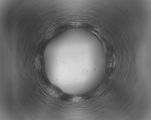 X0000052560609200507221437