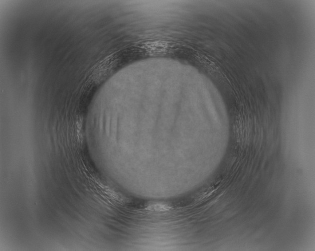 X0000052560610200507221437