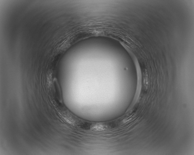 X0000052560611200507221437