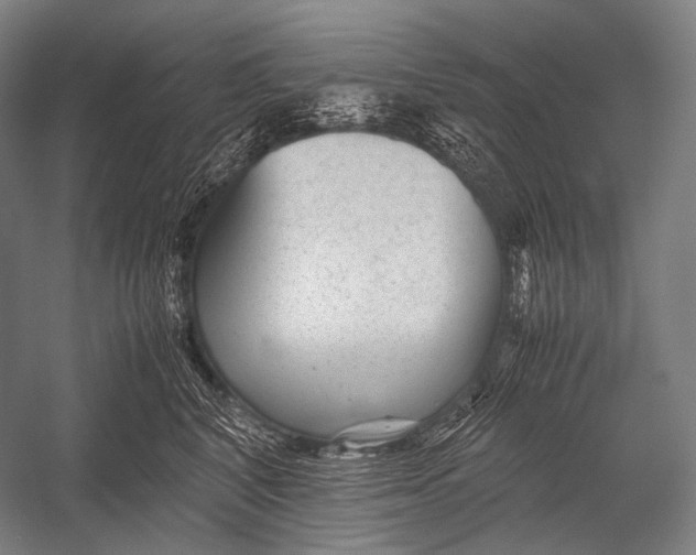 X0000052560616200507221437