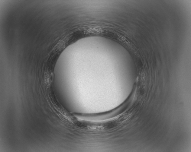 X0000052560617200507221437