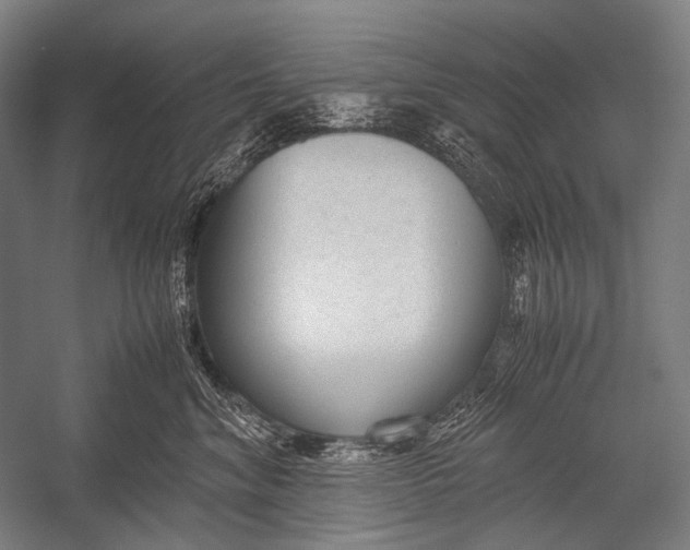X0000052560620200507221437