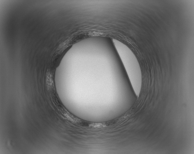 X0000052560621200507221437