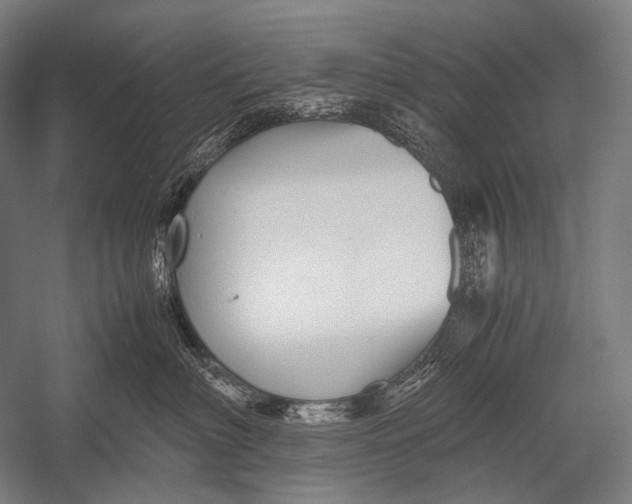 X0000052560622200507221437