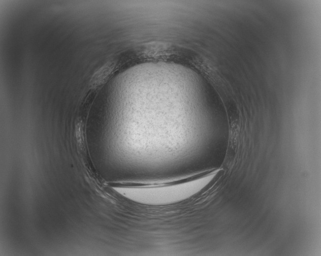 X0000052560623200507221437