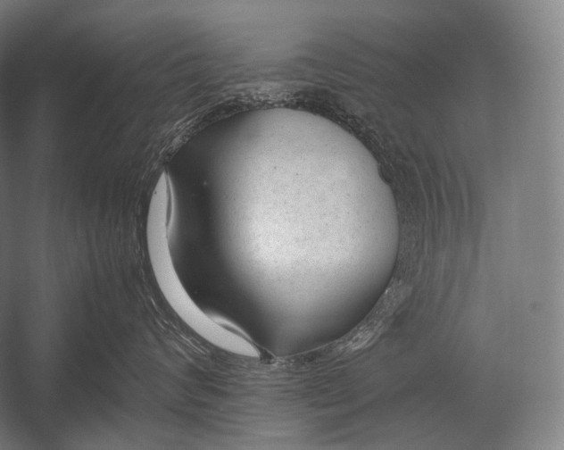 X0000052560624200507221437