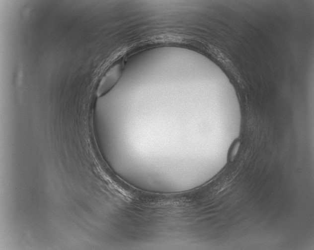 X0000052560625200507221436