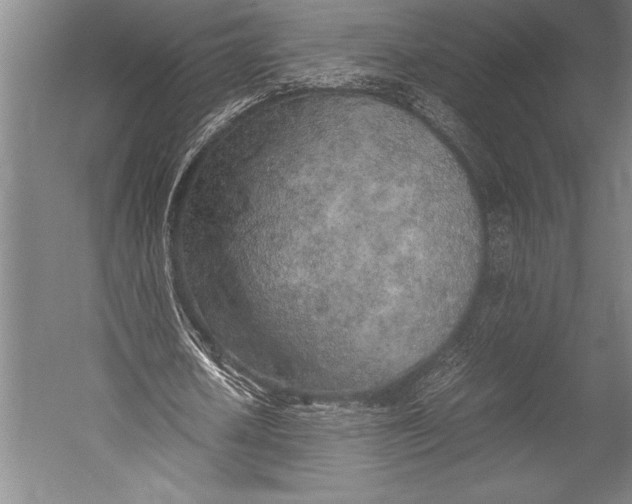 X0000052560626200507221436
