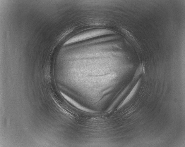 X0000052560627200507221436