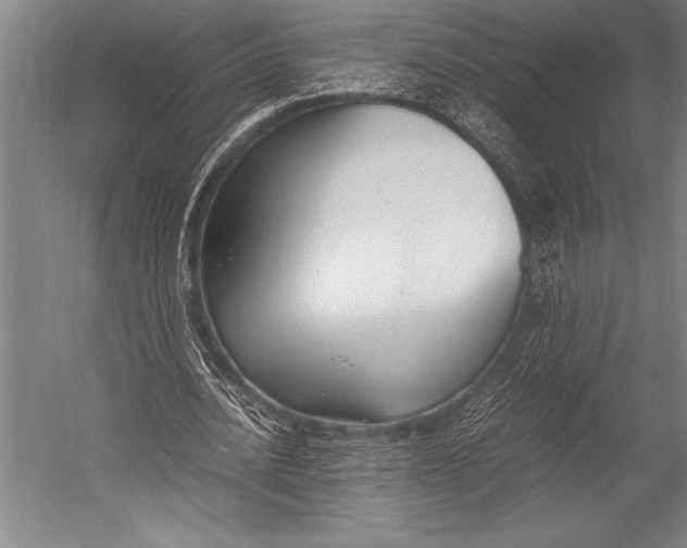 X0000052560628200507221436