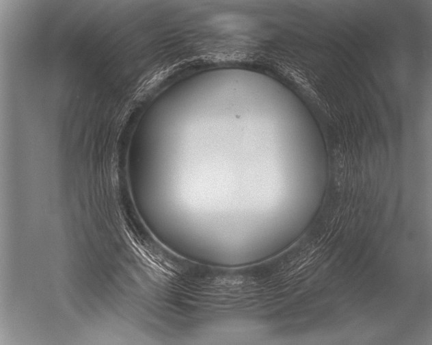 X0000052560631200507221436