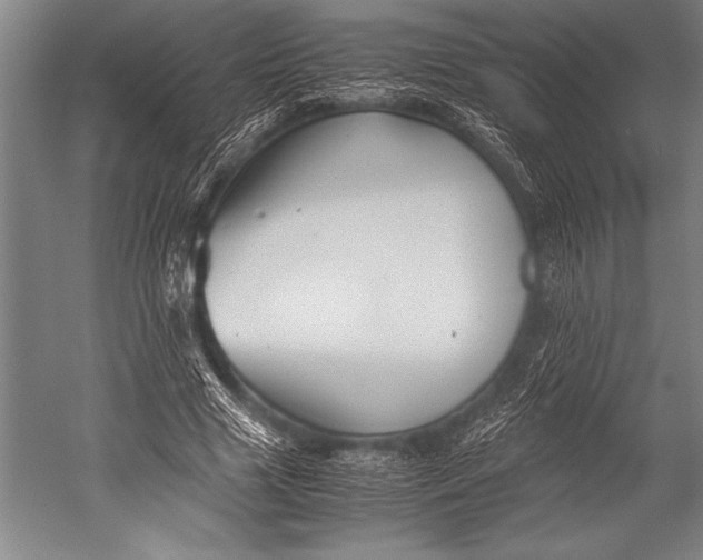X0000052560633200507221437