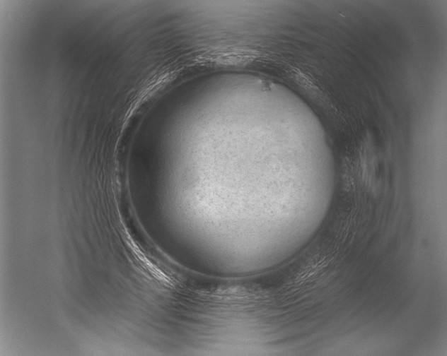 X0000052560634200507221437
