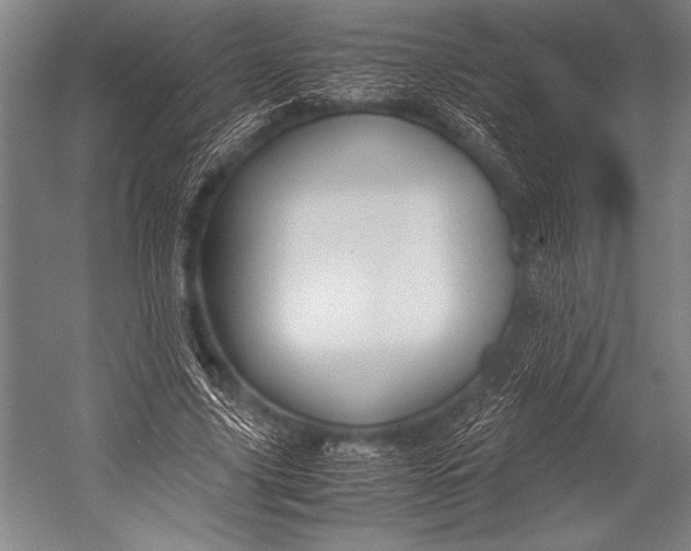 X0000052560635200507221437