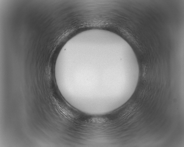 X0000052560636200507221437