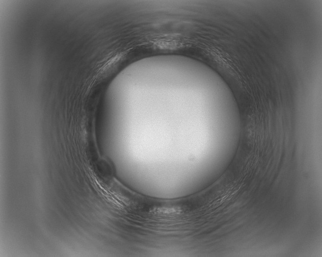 X0000052560639200507221437