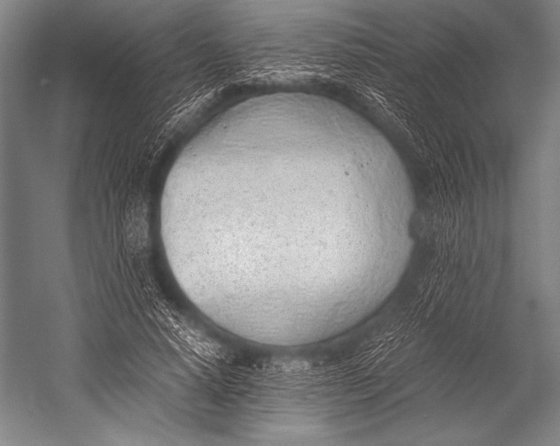 X0000052560640200507221437