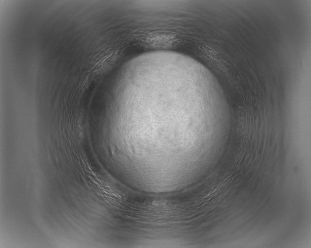 X0000052560641200507221437