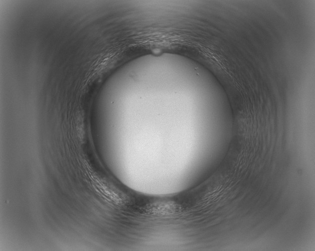 X0000052560642200507221437