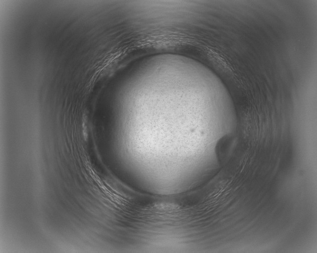 X0000052560644200507221437