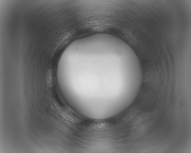 X0000052560646200507221437