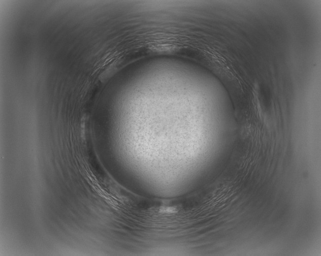 X0000052560647200507221437