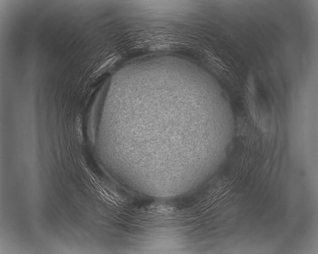 X0000052560648200507221437
