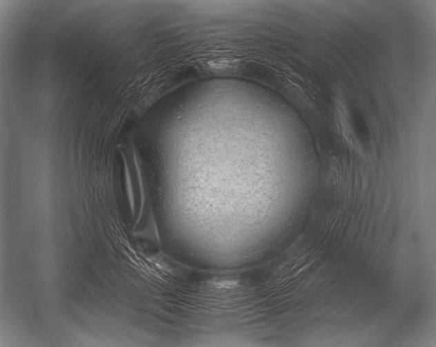 X0000052560651200507221437