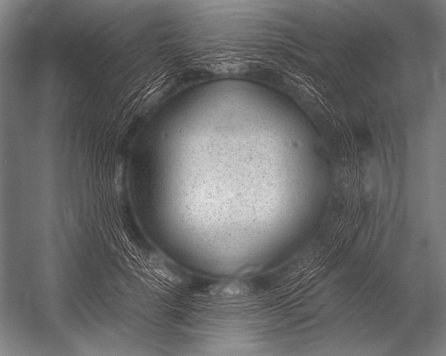 X0000052560652200507221437