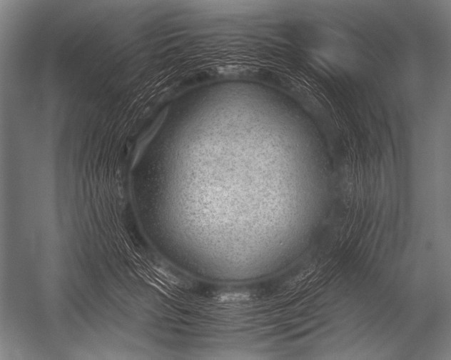 X0000052560653200507221437