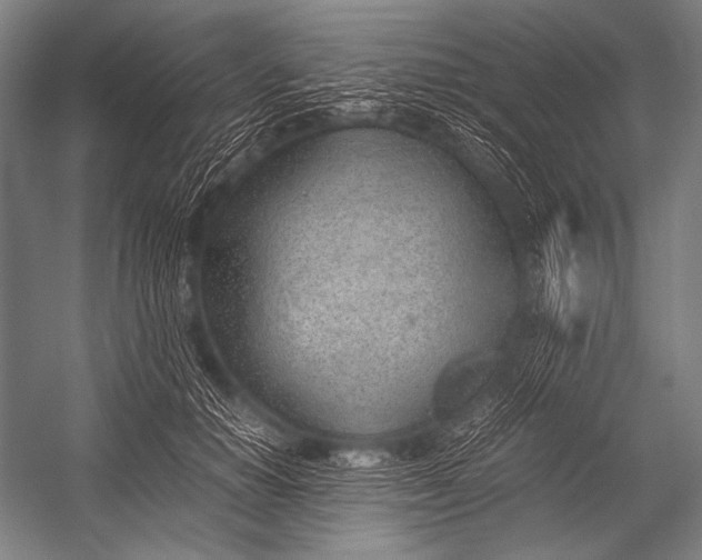 X0000052560654200507221437