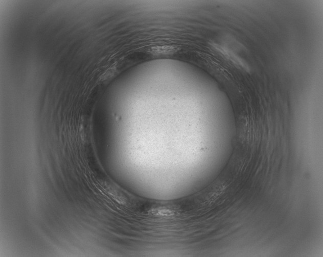 X0000052560655200507221437