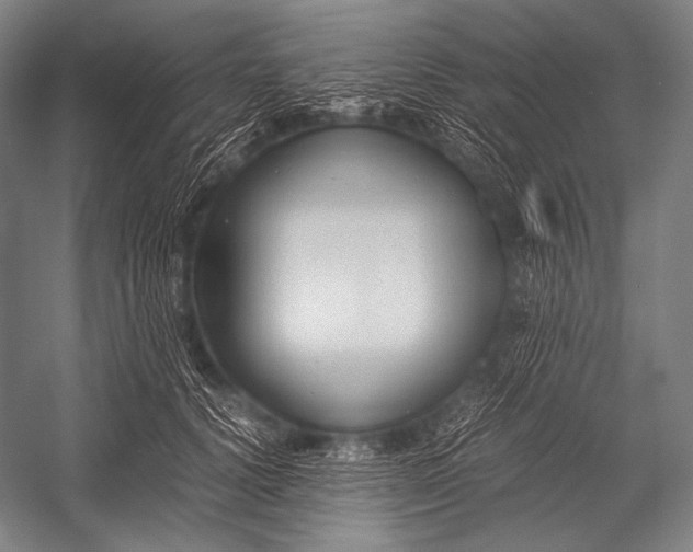 X0000052560656200507221437