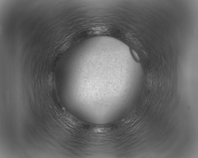 X0000052560657200507221437