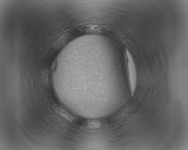 X0000052560658200507221437