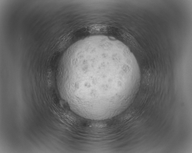 X0000052560659200507221437