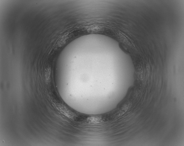 X0000052560660200507221437