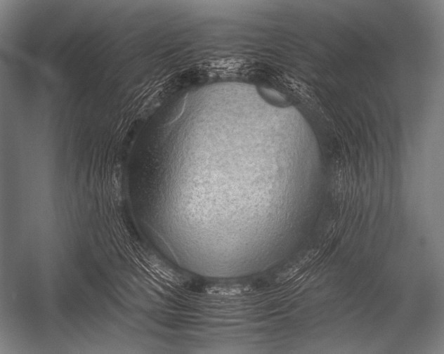 X0000052560661200507221437