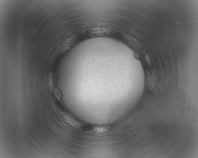 X0000052560662200507221437
